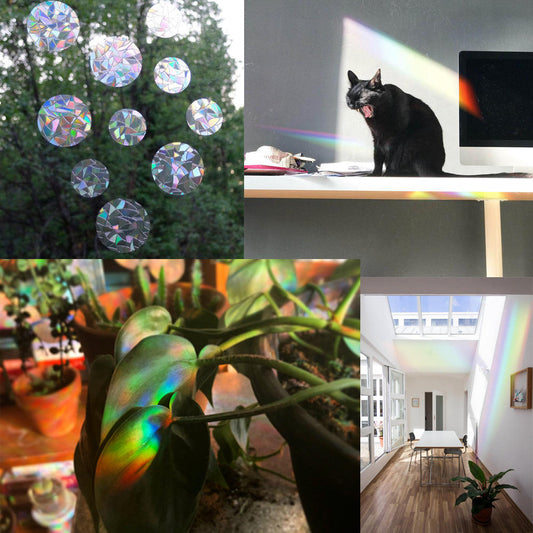 Rainbow Suncatcher Window Sticker🌈